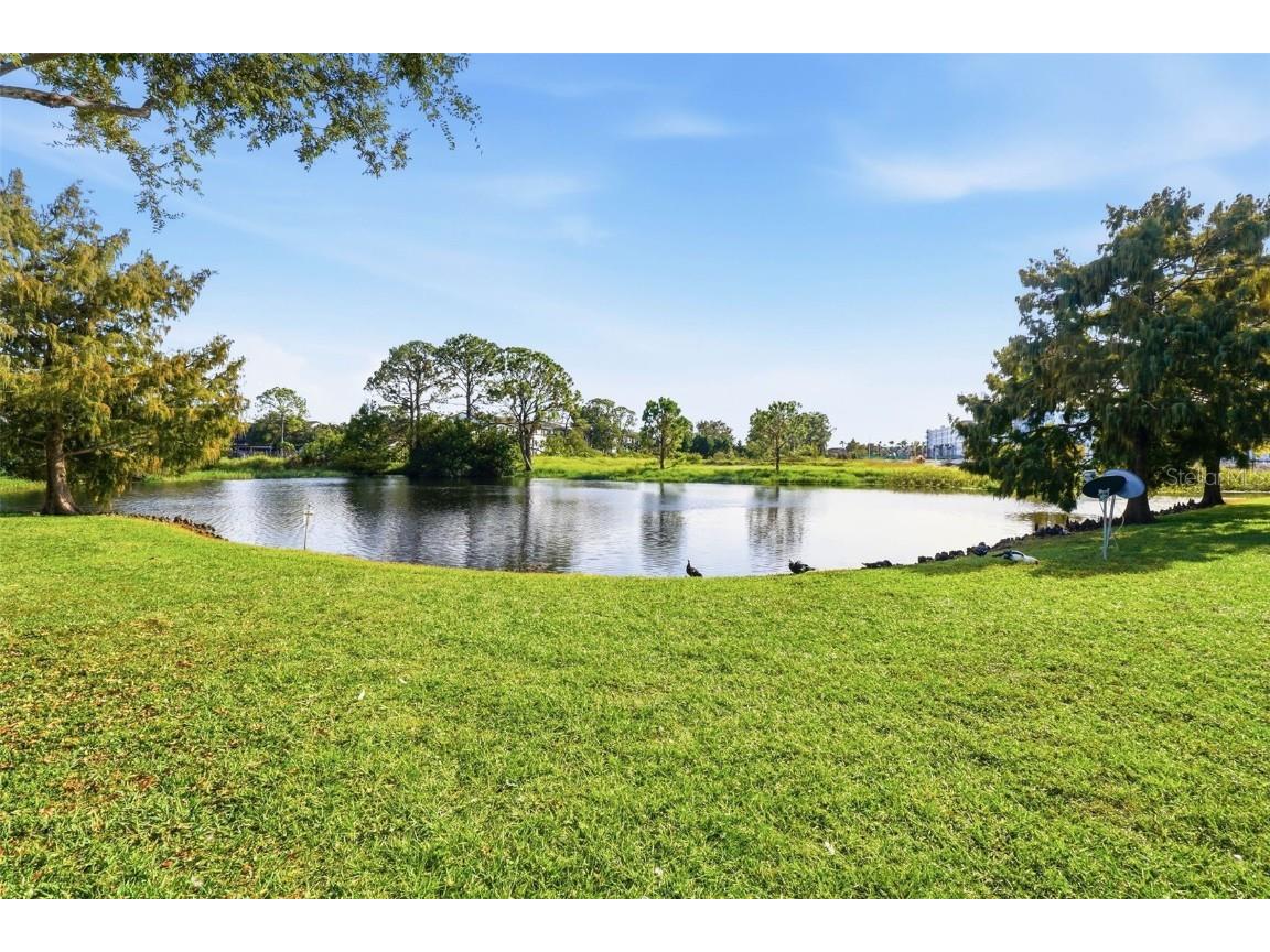 3702 Palm Desert Lane #5437 Orlando FL 32839 O6360124 image32