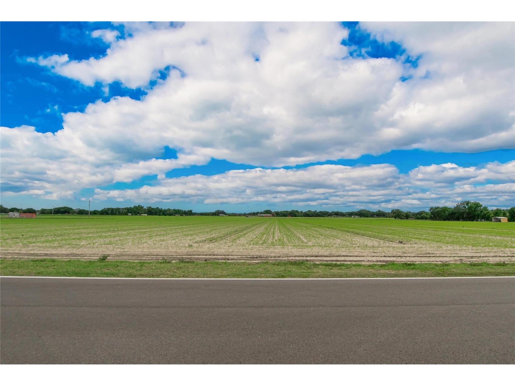 3702 Trapnell Grove Loop Plant City FL 33567 TB8513665 image48