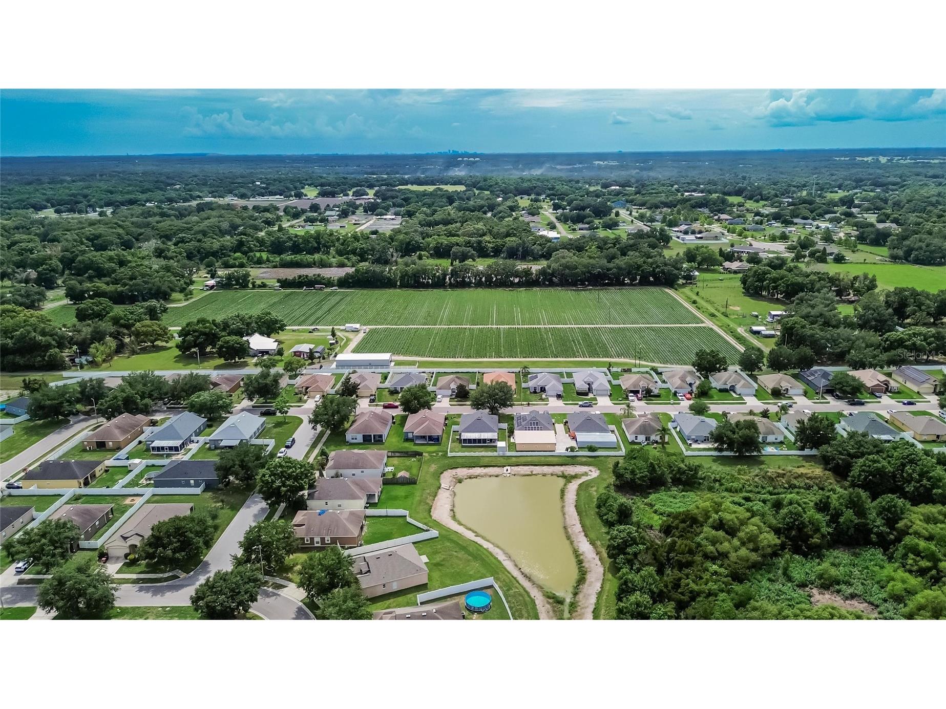3702 Trapnell Grove Loop Plant City FL 33567 TB8513665 image51