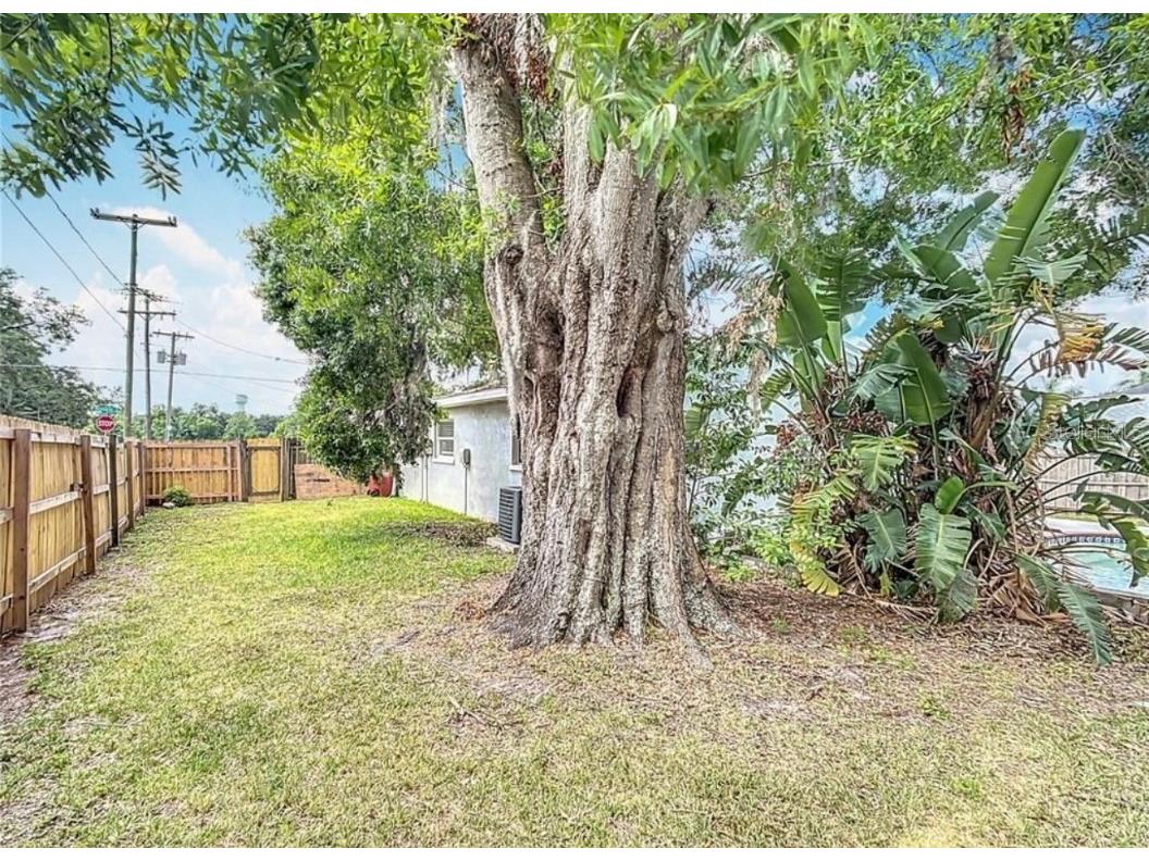 3702 W Reynolds Street Plant City FL 33563 GC535639 image23