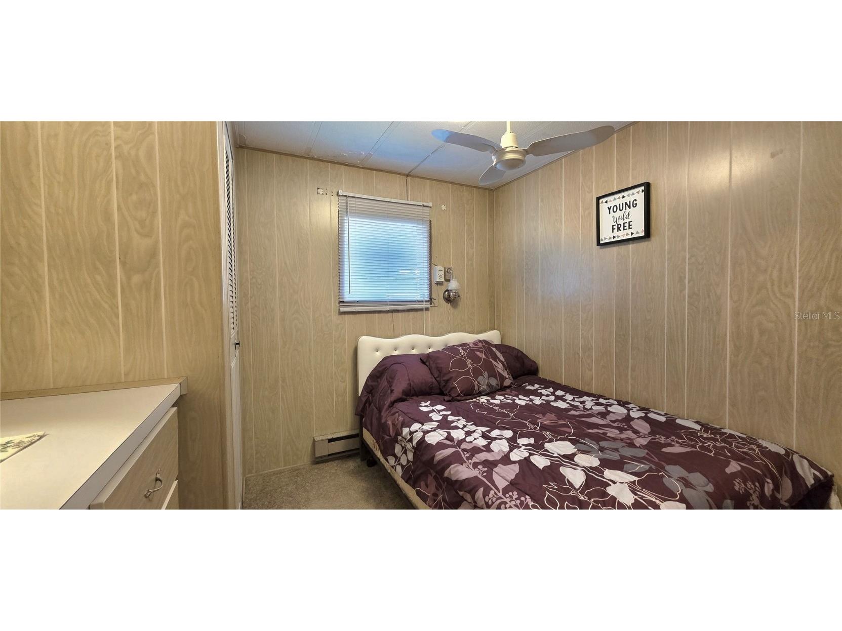 37021 Karen Avenue Zephyrhills FL 33542 TB8446183 image22