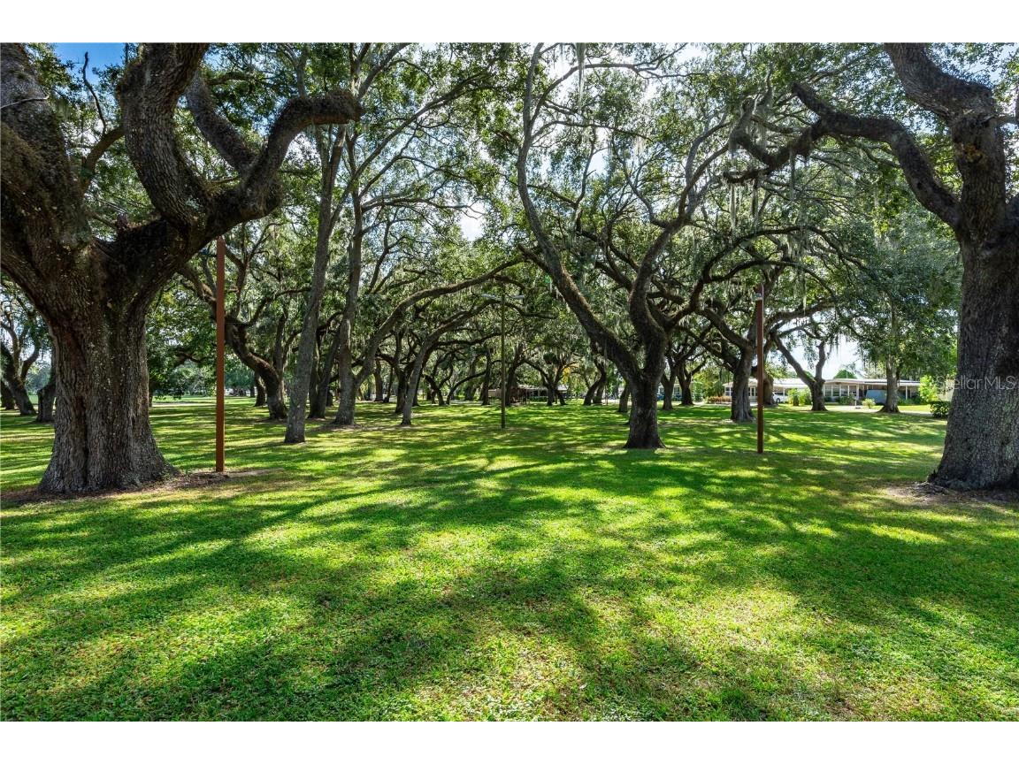 37024 8th Avenue Zephyrhills FL 33542 TB8461441 image44