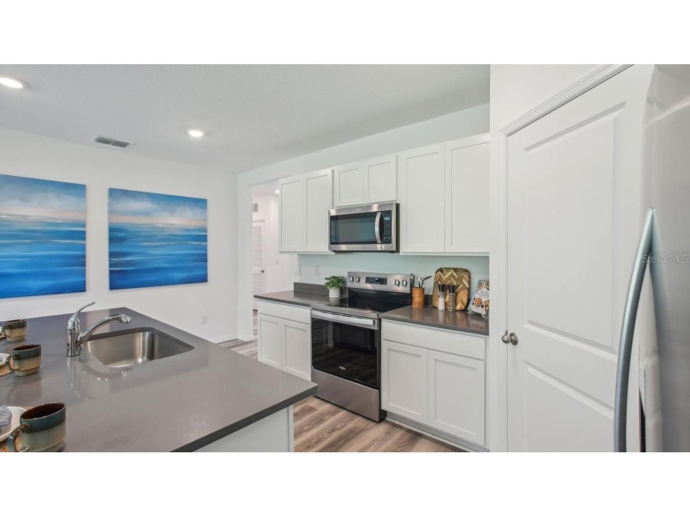 37024 Sunrise Tellin Drive Zephyrhills FL 33541 TB8444095 image13