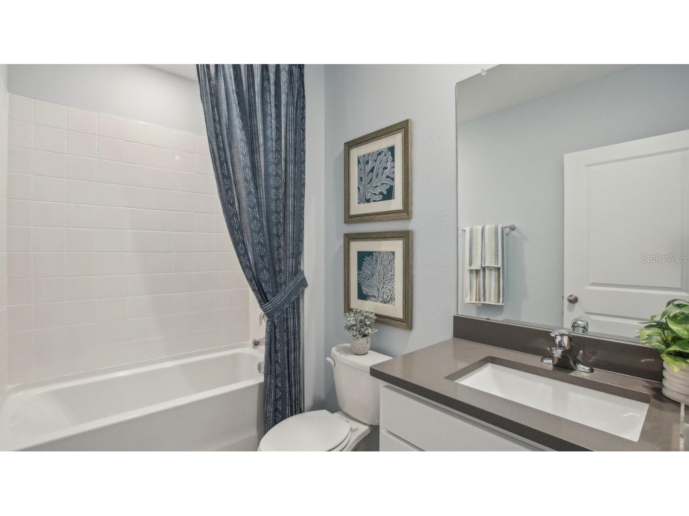 37024 Sunrise Tellin Drive Zephyrhills FL 33541 TB8444095 image16