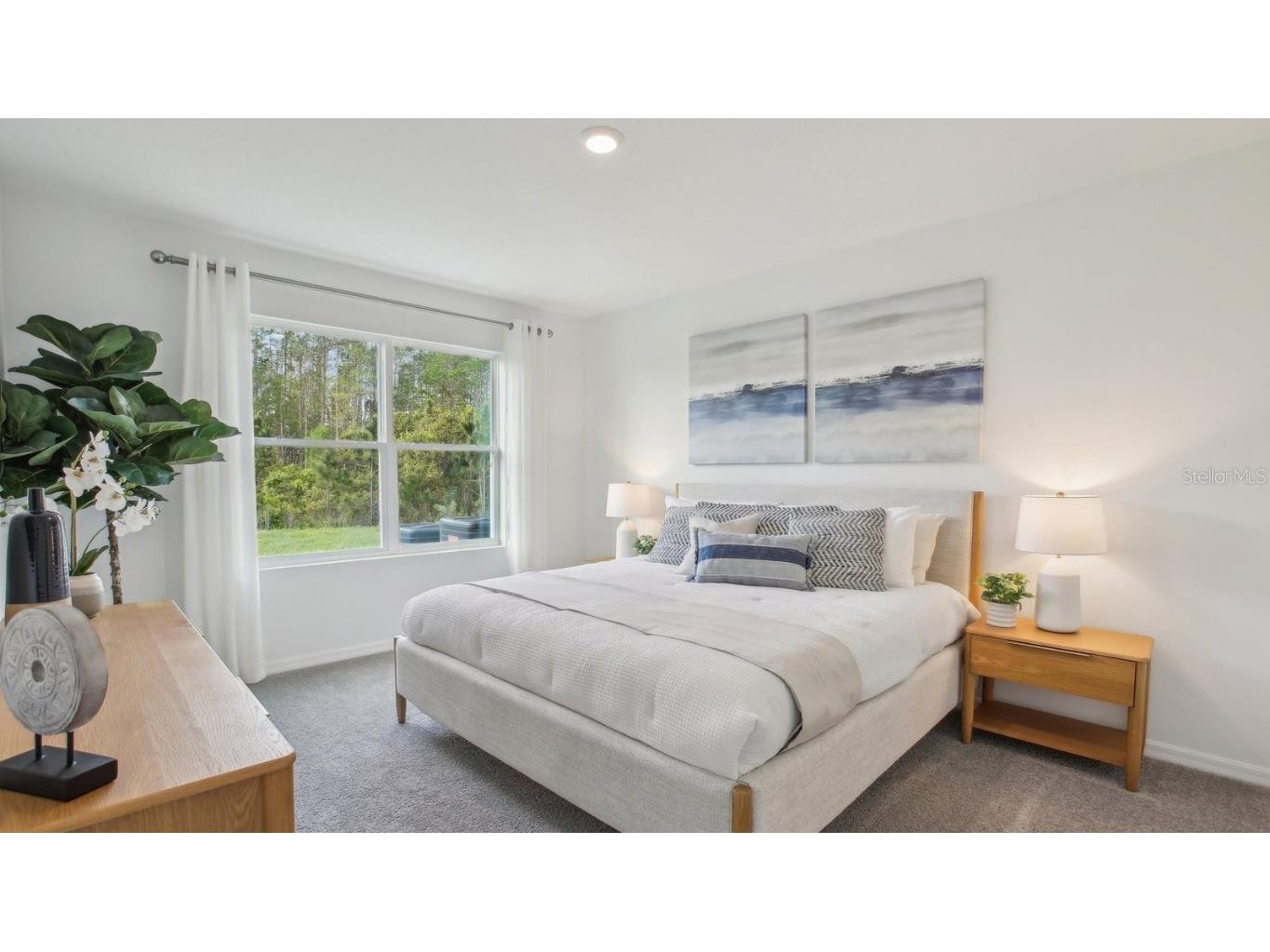 37024 Sunrise Tellin Drive Zephyrhills FL 33541 TB8444095 image20