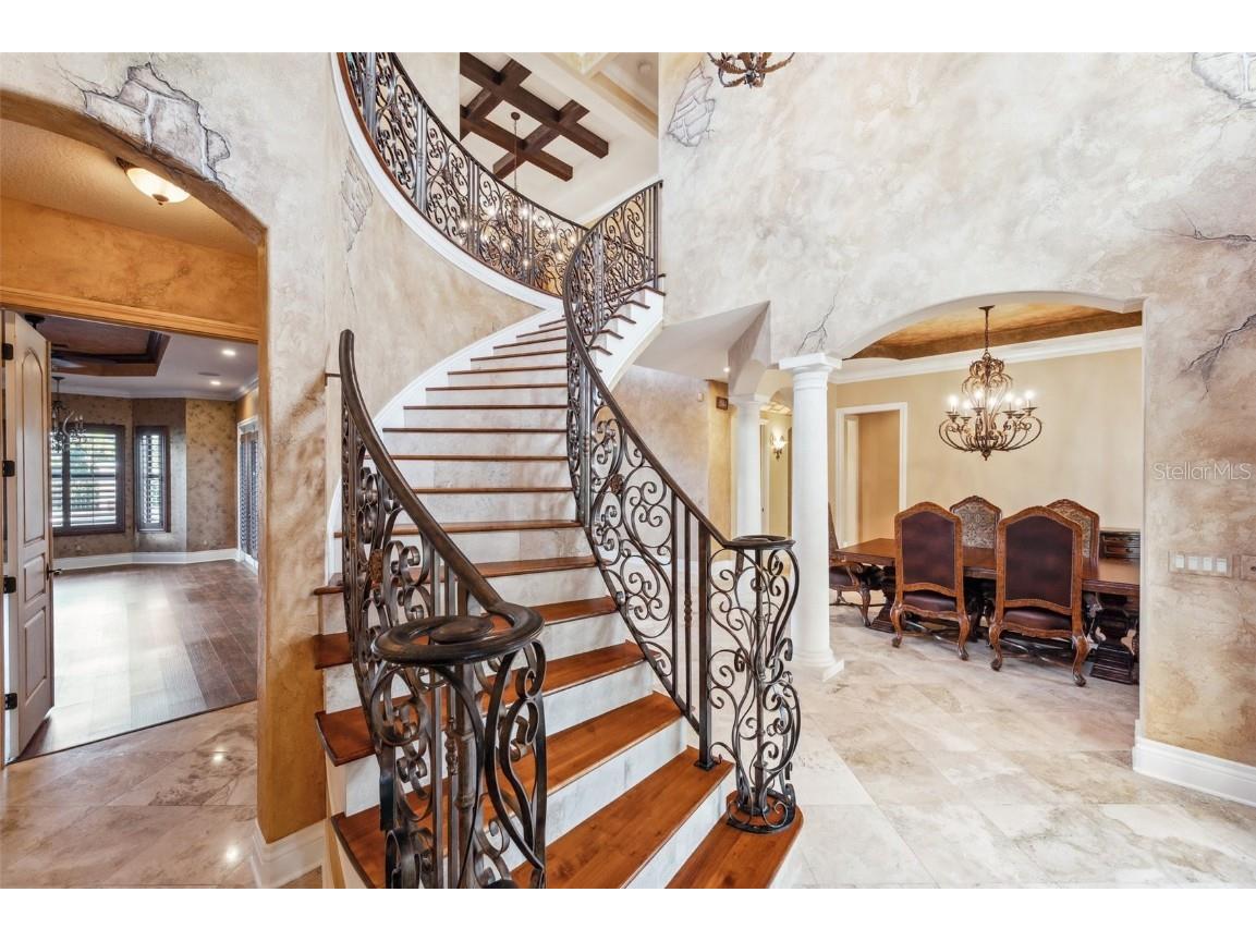 3703 Douglas Place Palm Harbor FL 34683 TB8457808 image13