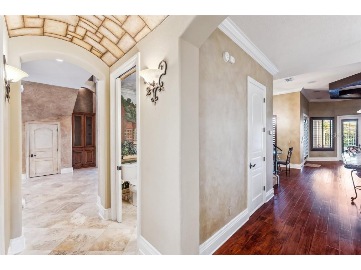 3703 Douglas Place Palm Harbor FL 34683 TB8457808 image16