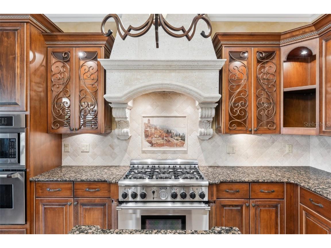 3703 Douglas Place Palm Harbor FL 34683 TB8457808 image18