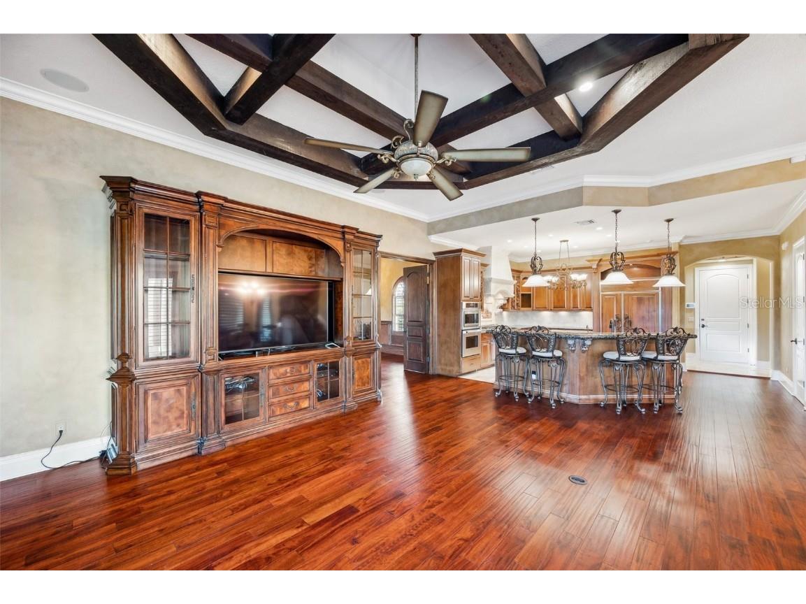 3703 Douglas Place Palm Harbor FL 34683 TB8457808 image22