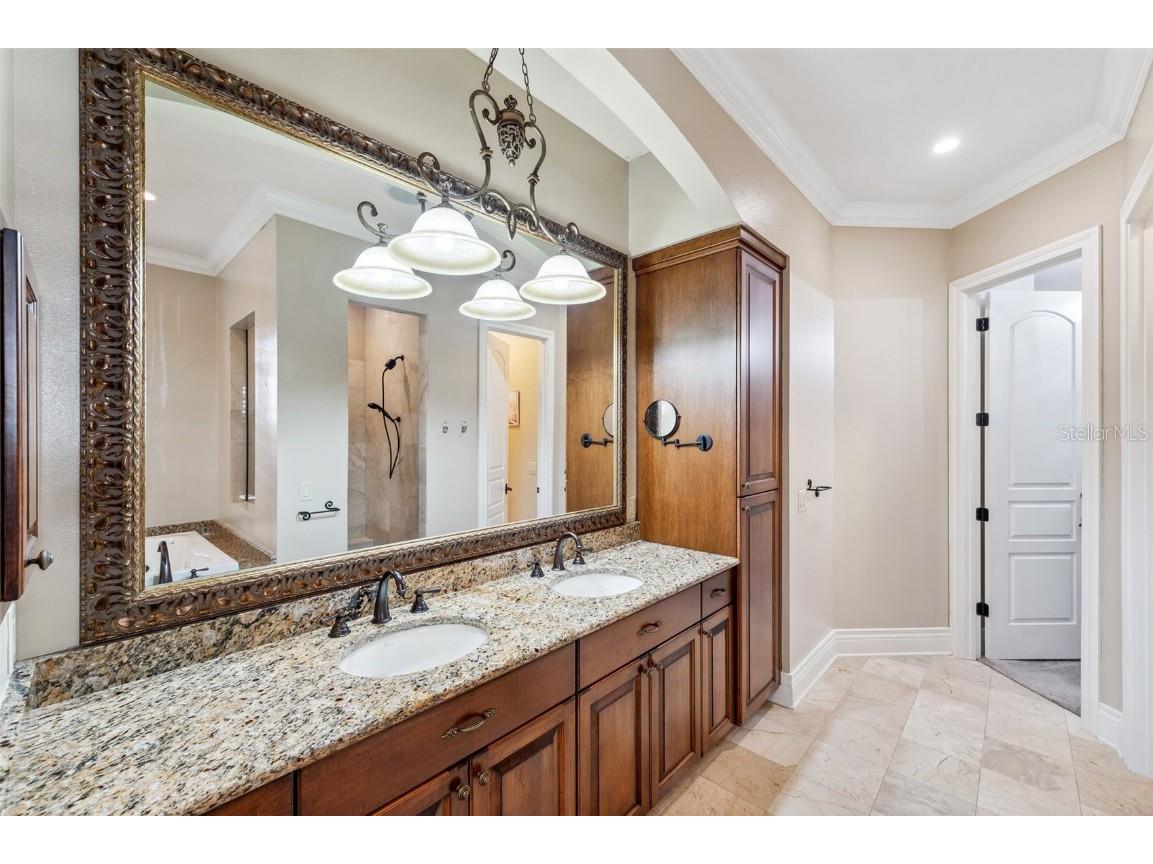 3703 Douglas Place Palm Harbor FL 34683 TB8457808 image28