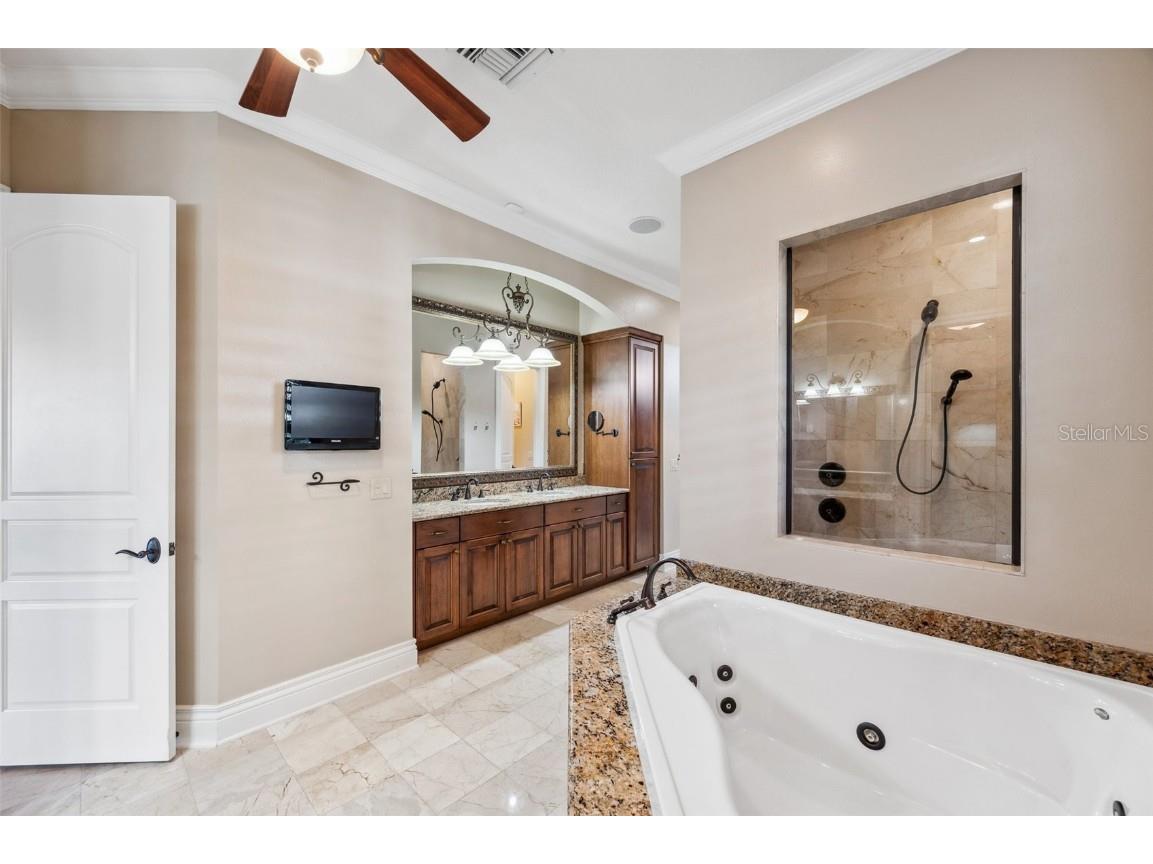 3703 Douglas Place Palm Harbor FL 34683 TB8457808 image29