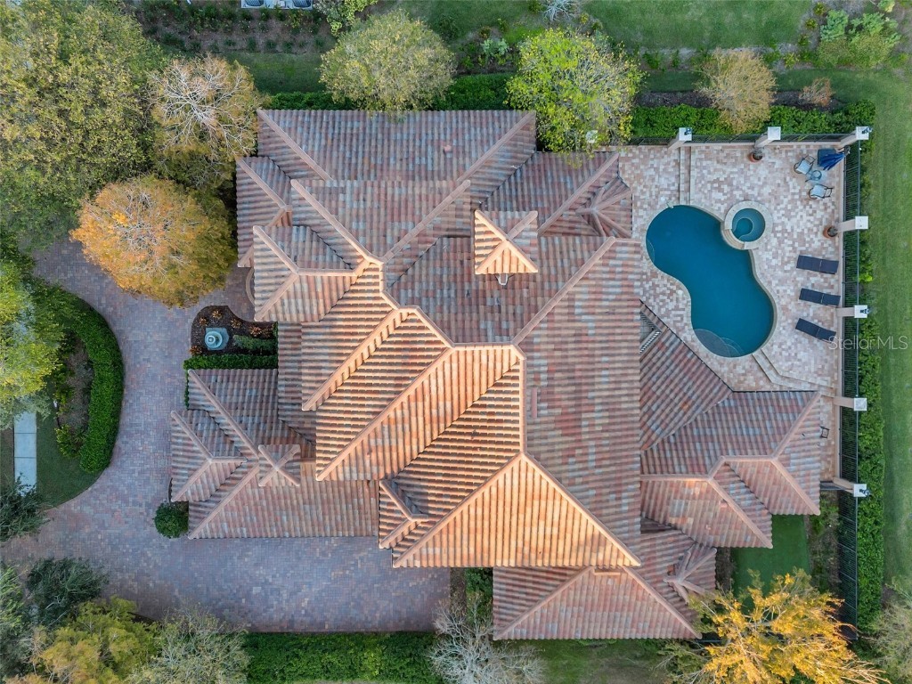 3703 Douglas Place Palm Harbor FL 34683 TB8457808 image3