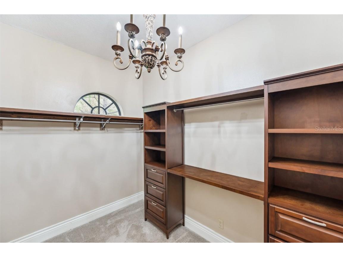 3703 Douglas Place Palm Harbor FL 34683 TB8457808 image33