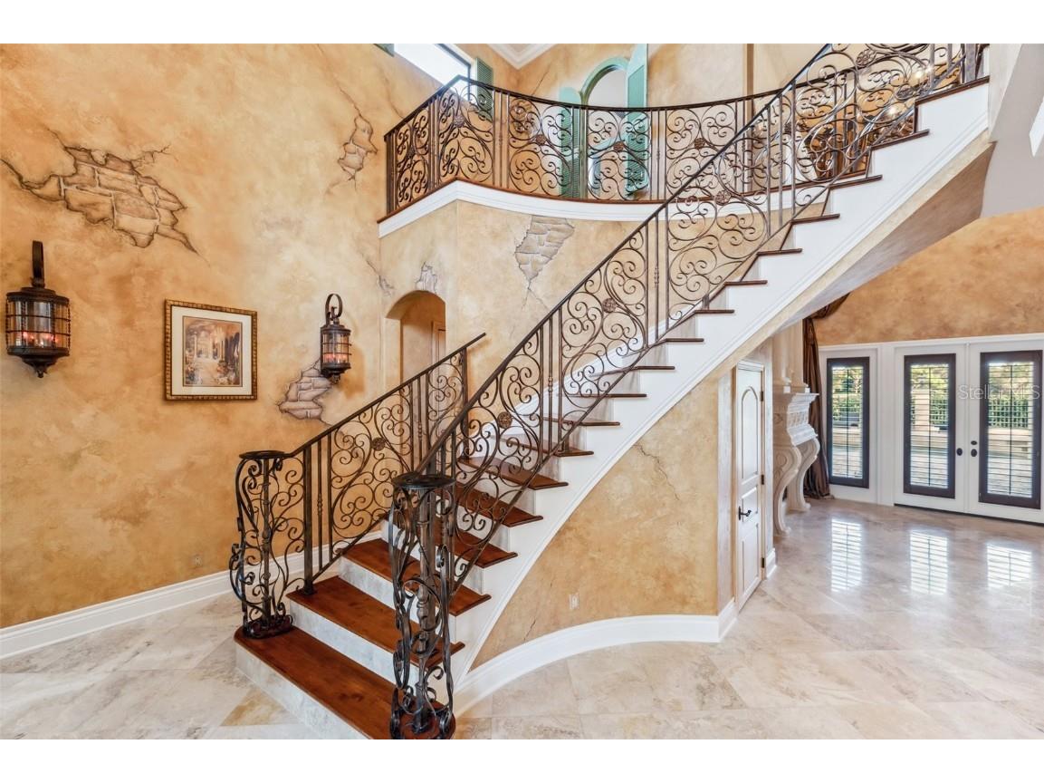 3703 Douglas Place Palm Harbor FL 34683 TB8457808 image34