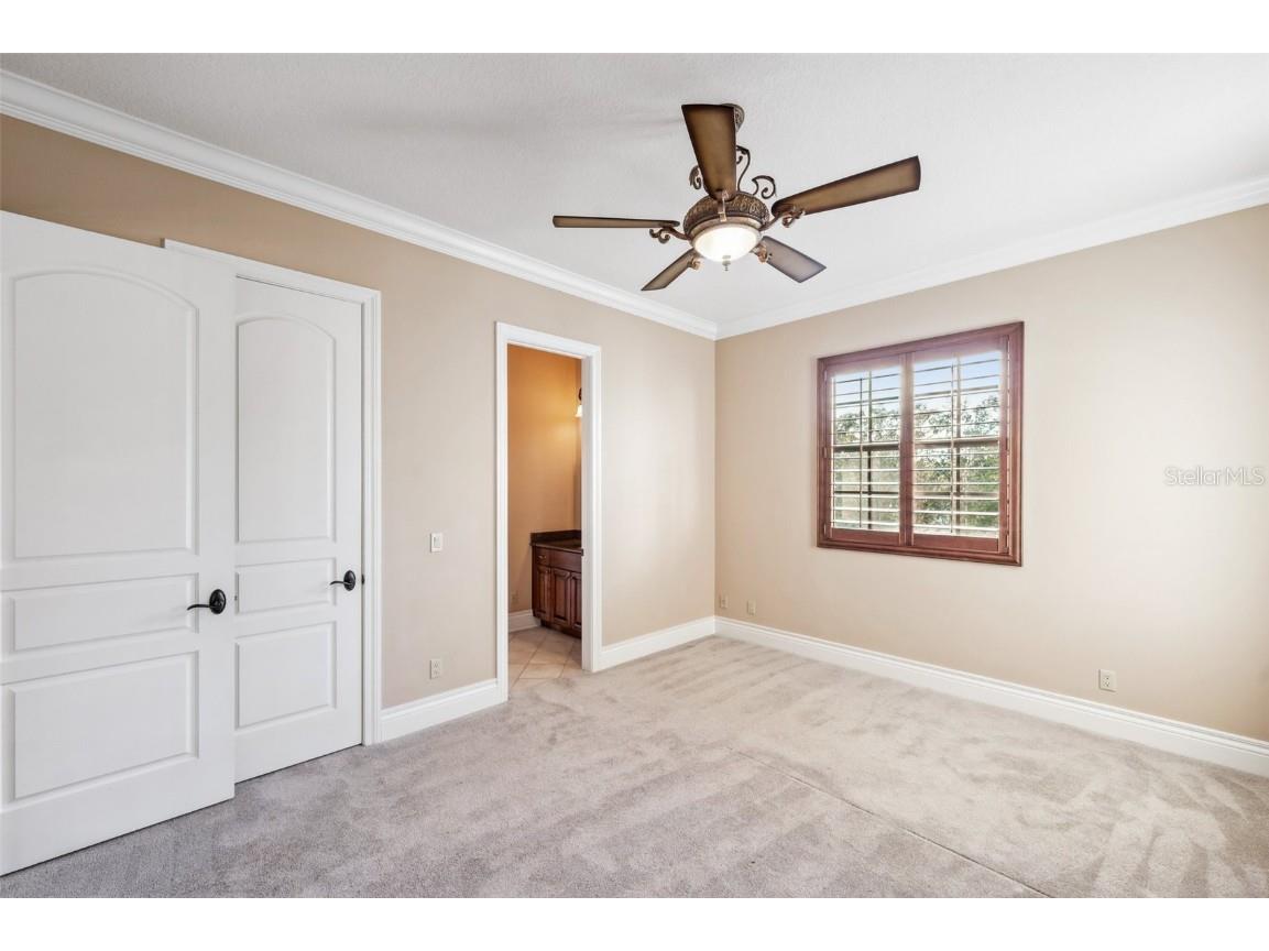 3703 Douglas Place Palm Harbor FL 34683 TB8457808 image35