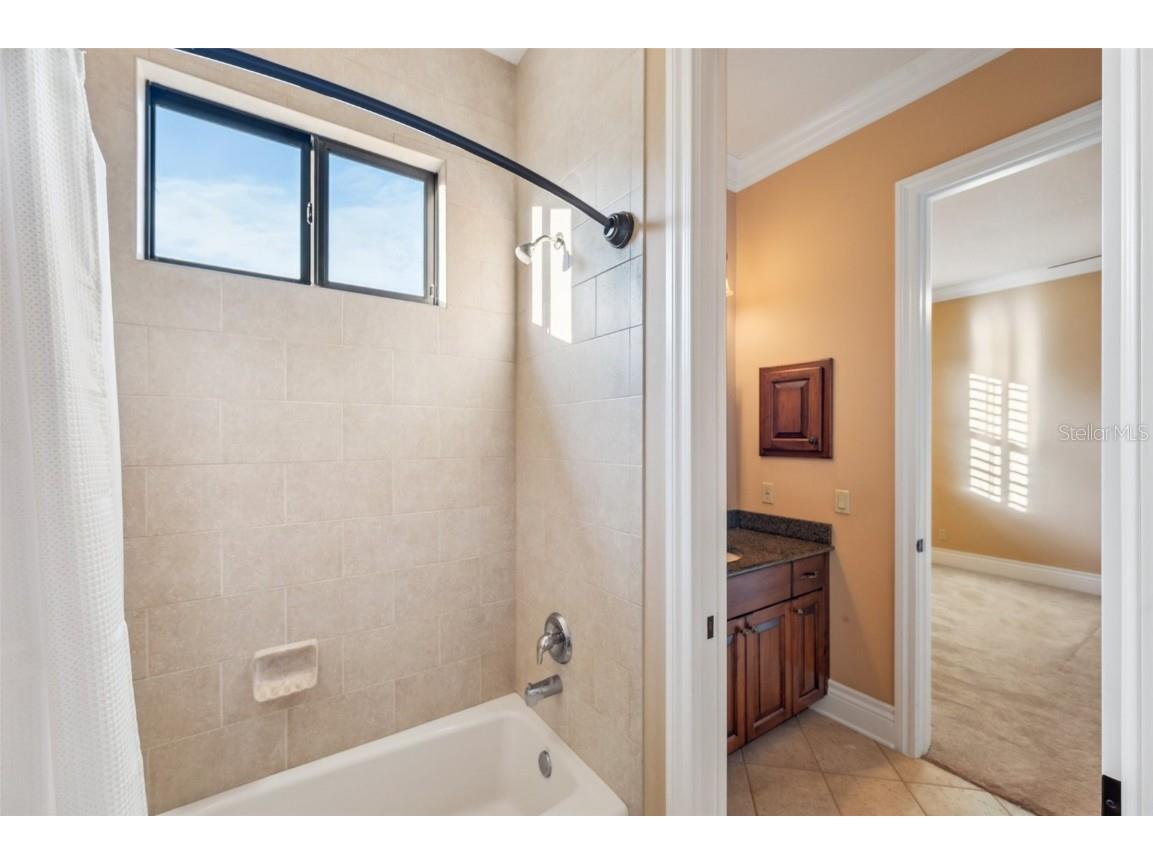 3703 Douglas Place Palm Harbor FL 34683 TB8457808 image36