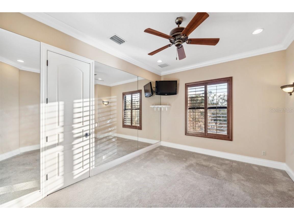 3703 Douglas Place Palm Harbor FL 34683 TB8457808 image38