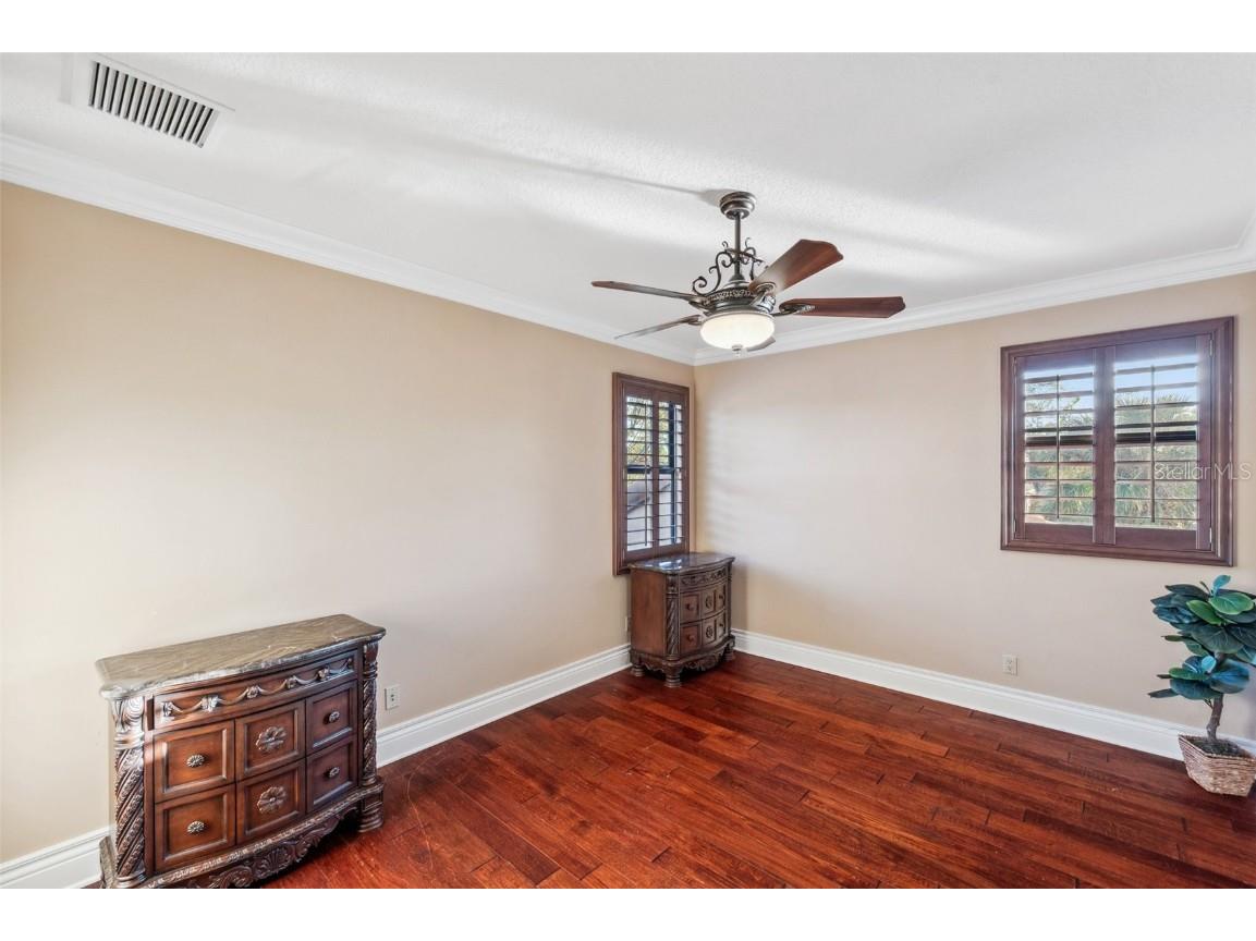 3703 Douglas Place Palm Harbor FL 34683 TB8457808 image39