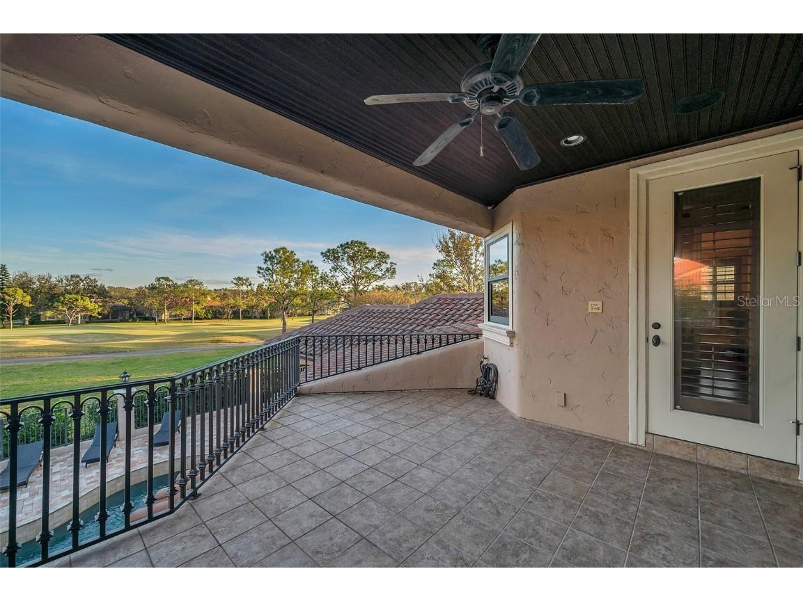 3703 Douglas Place Palm Harbor FL 34683 TB8457808 image42