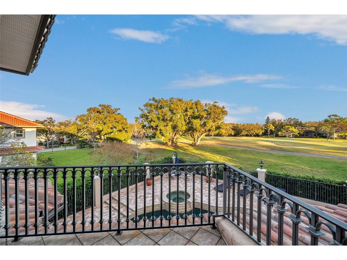 3703 Douglas Place Palm Harbor FL 34683 TB8457808 image43