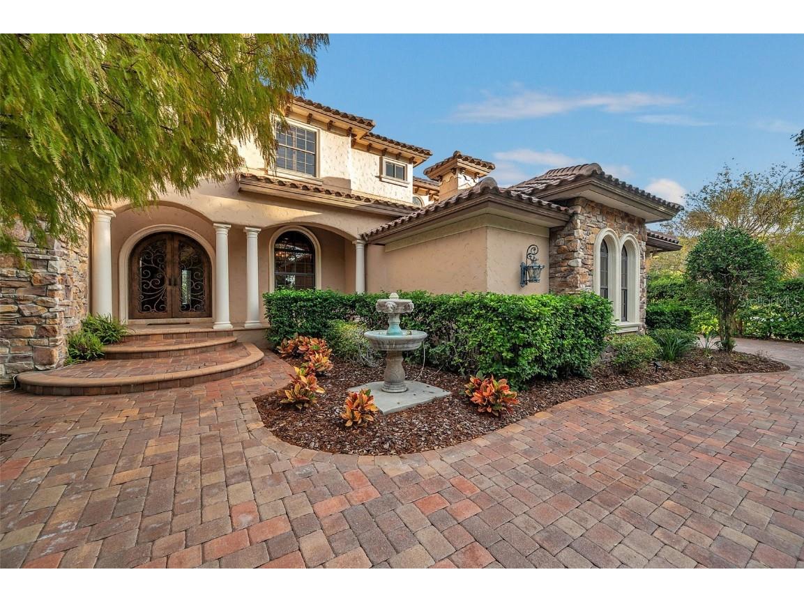 3703 Douglas Place Palm Harbor FL 34683 TB8457808 image5