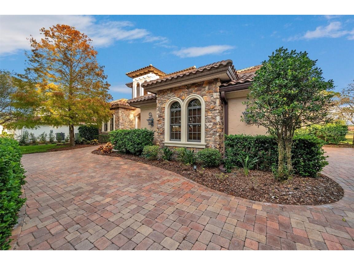 3703 Douglas Place Palm Harbor FL 34683 TB8457808 image7