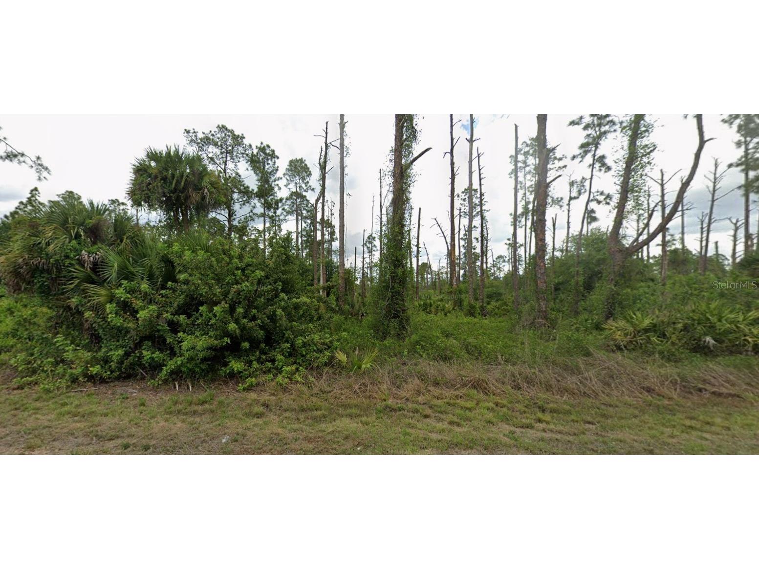 3703 E 9th Street Lehigh Acres FL 33972 O6383707 image1