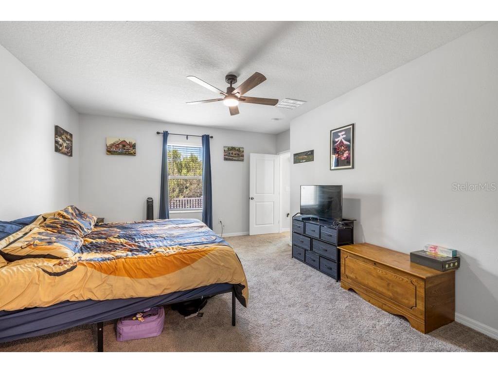 3703 Globe Thistle Drive Tampa FL 33619 TB8498776 image19