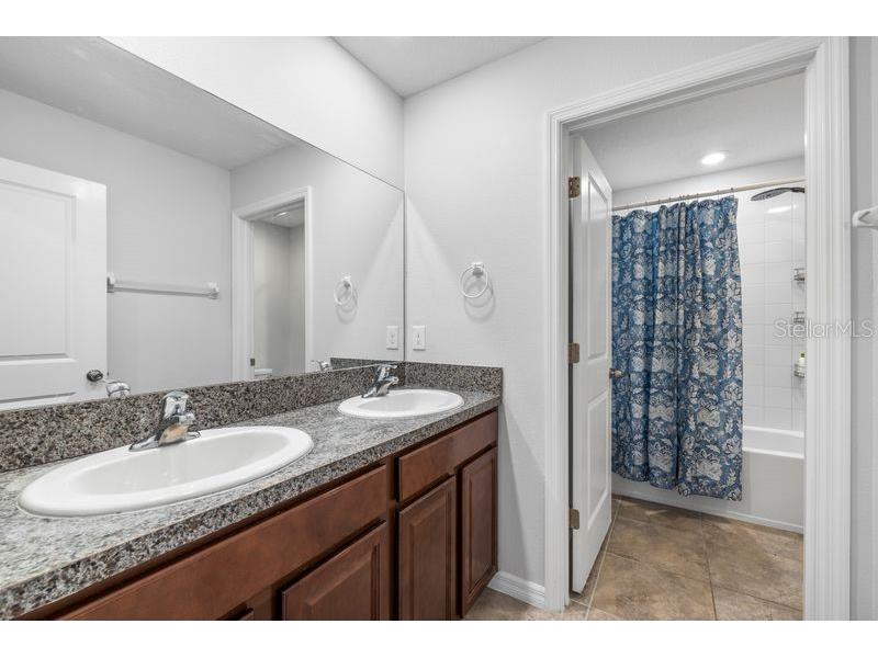 3703 Globe Thistle Drive Tampa FL 33619 TB8498776 image25