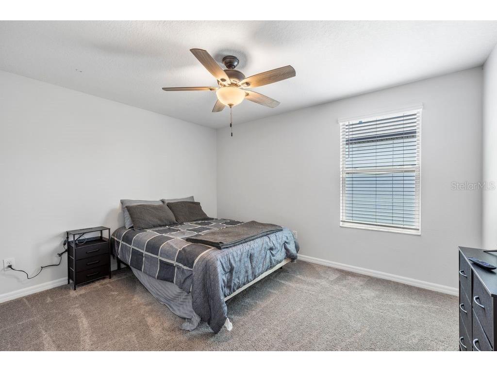 3703 Globe Thistle Drive Tampa FL 33619 TB8498776 image31