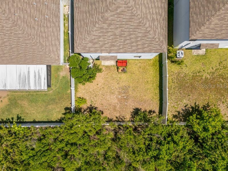 3703 Globe Thistle Drive Tampa FL 33619 TB8498776 image36