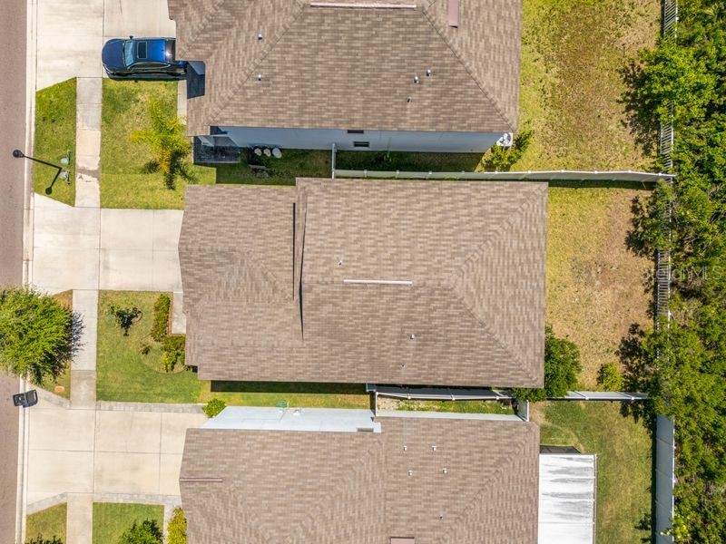 3703 Globe Thistle Drive Tampa FL 33619 TB8498776 image37