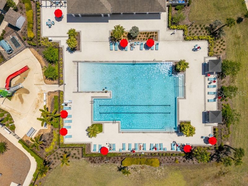 3703 Globe Thistle Drive Tampa FL 33619 TB8498776 image4