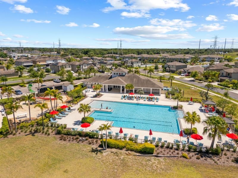 3703 Globe Thistle Drive Tampa FL 33619 TB8498776 image5