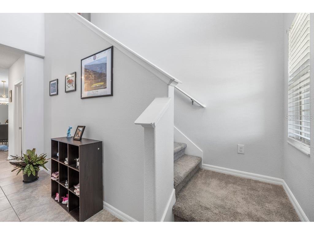 3703 Globe Thistle Drive Tampa FL 33619 TB8498776 image7