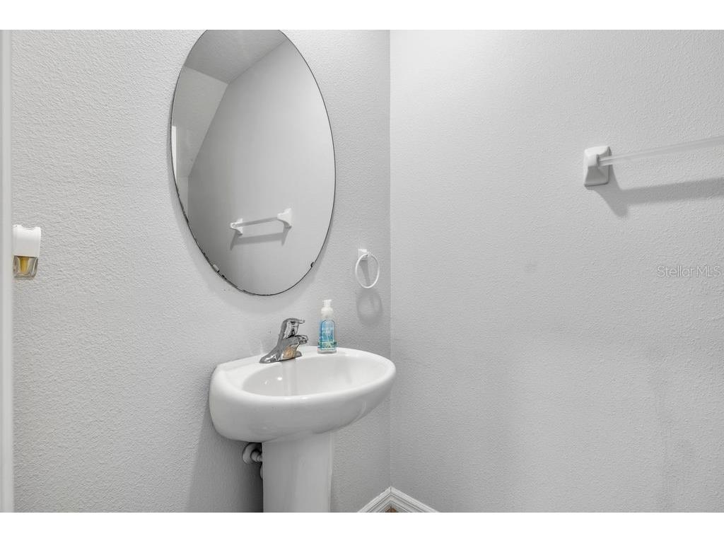 3703 Globe Thistle Drive Tampa FL 33619 TB8498776 image9