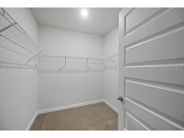 3703 Hatchery Way Lakewood Ranch FL 34211 A4676376 image19