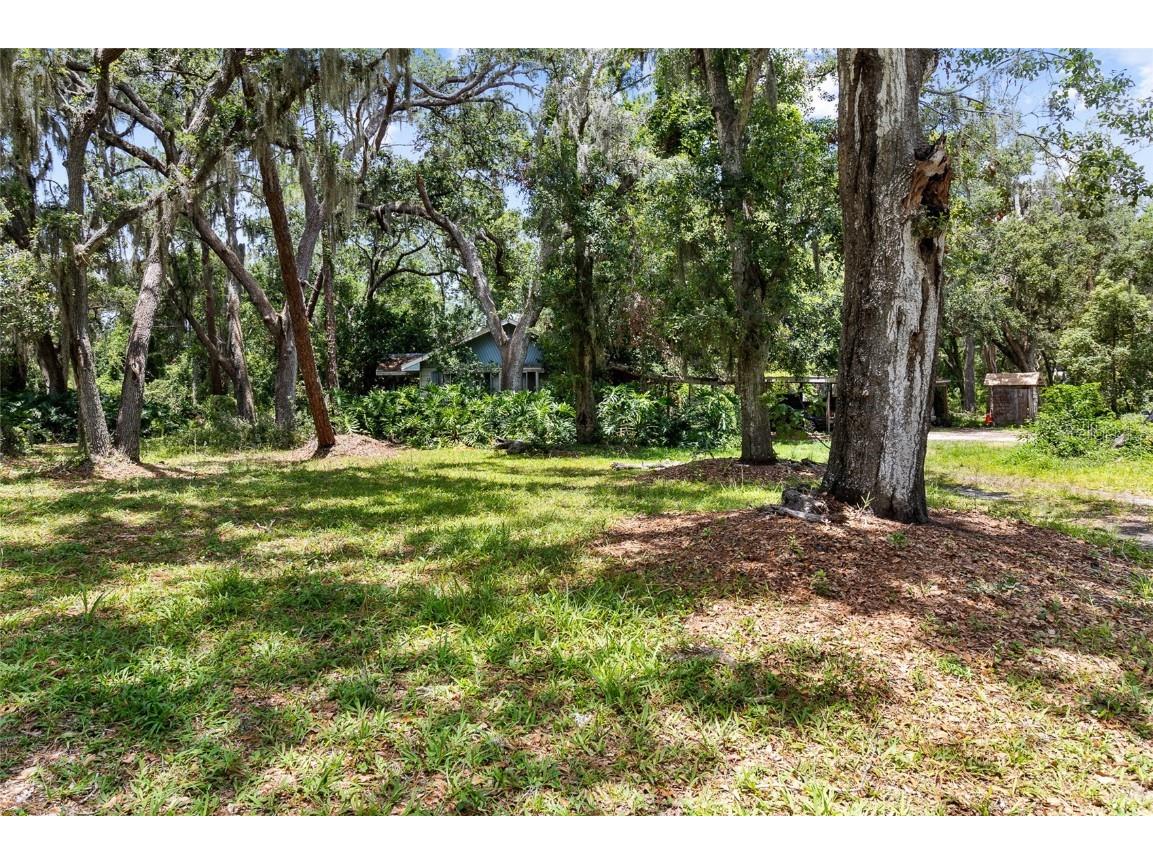 3703 Lithia Pinecrest Road Valrico FL 33596 TB8389962 image1