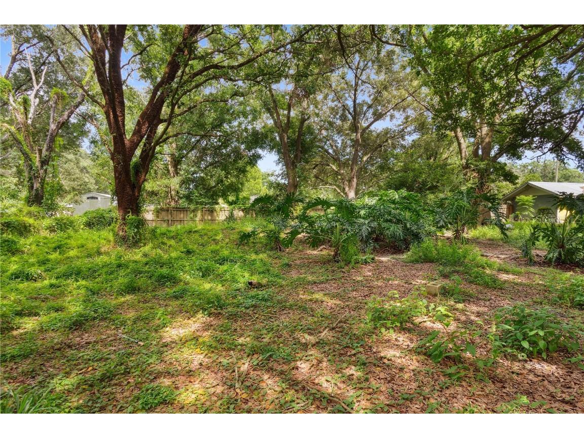3703 Mount Tabor Road Lakeland FL 33810 P4935612 image4