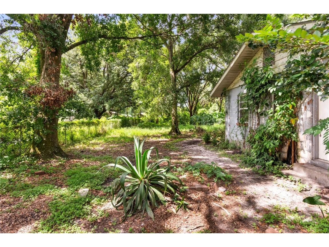 3703 Mount Tabor Road Lakeland FL 33810 P4935612 image7
