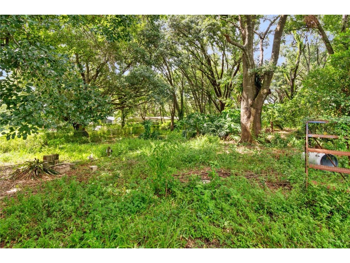 3703 Mount Tabor Road Lakeland FL 33810 P4935612 image8