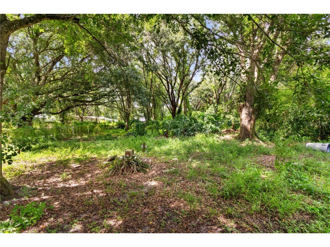 3703 Mount Tabor Road Lakeland FL 33810 P4935612 image9