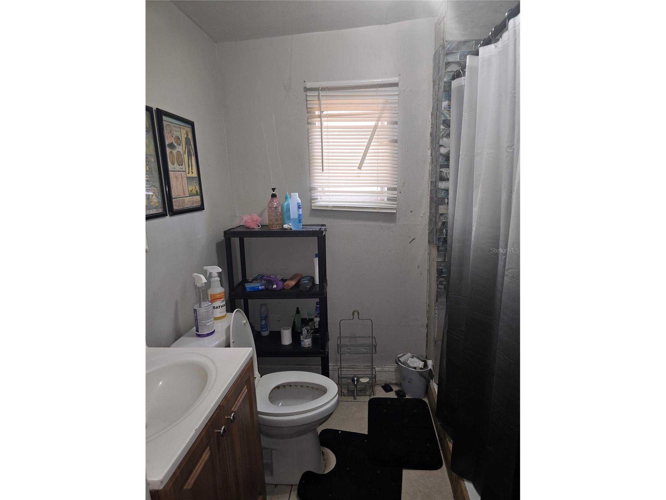 3703 N 51st Street Tampa FL 33619 TB8508915 image12