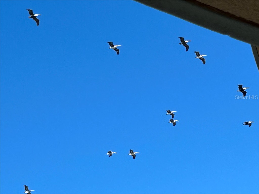 3703 S Atlantic Avenue #504 Daytona Beach FL 32118 NS1086337 image18