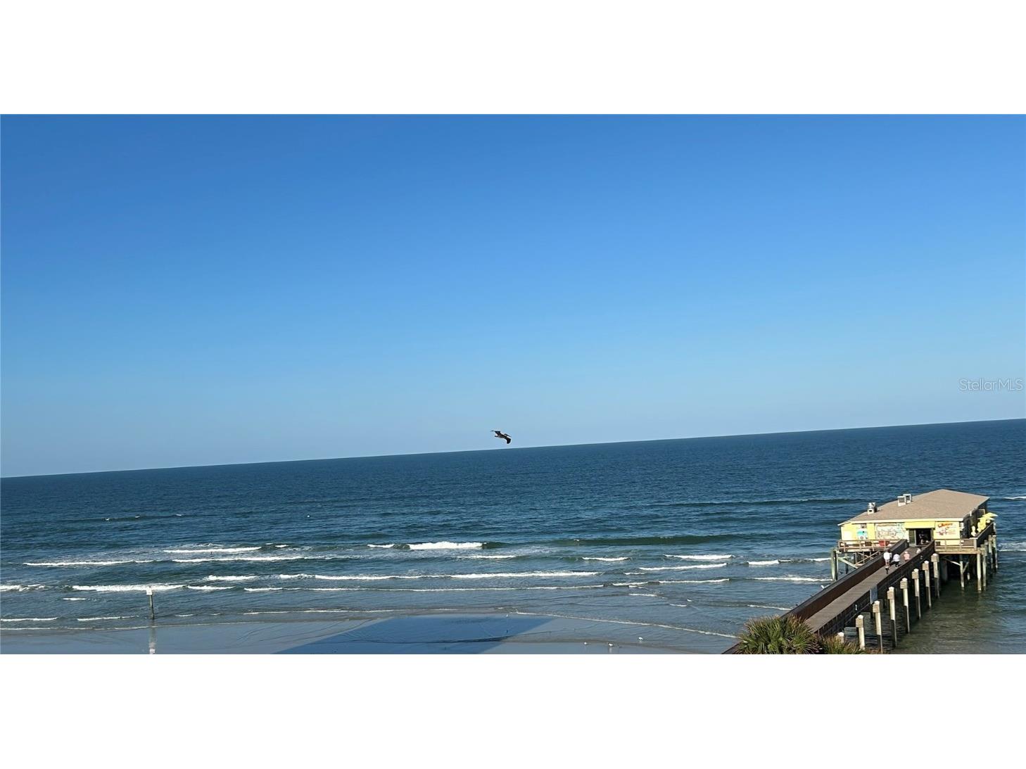 3703 S Atlantic Avenue #504 Daytona Beach FL 32118 NS1086337 image4