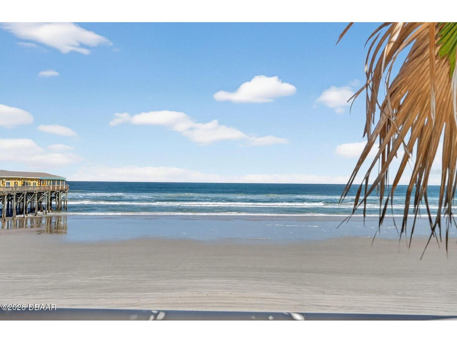 3703 S Atlantic Avenue #504 Daytona Beach Shores FL 32118 NS1087341 image2