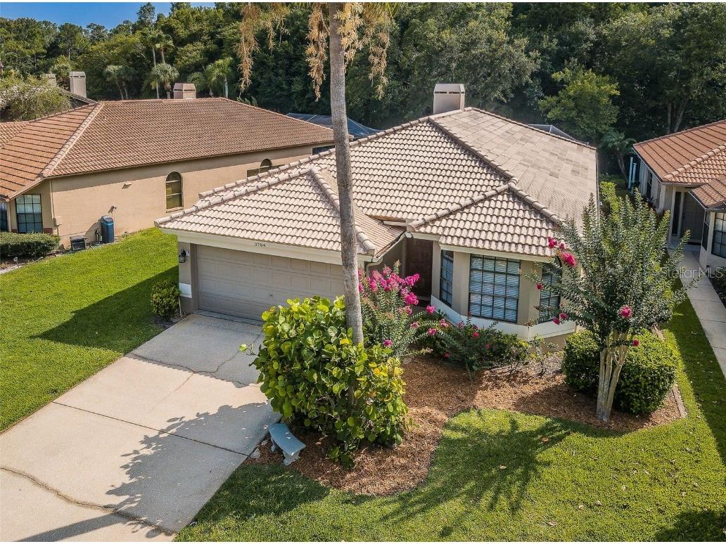 3704 Darston Street Palm Harbor FL 34685 U8205861 image1