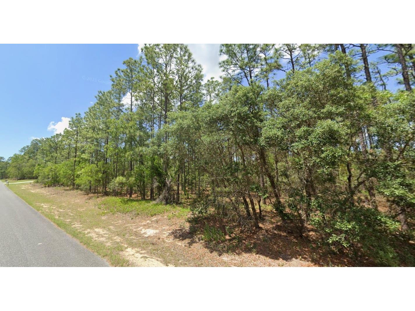 3704 W Lappula Lane Citrus Springs FL 34433 TB8466556 image1
