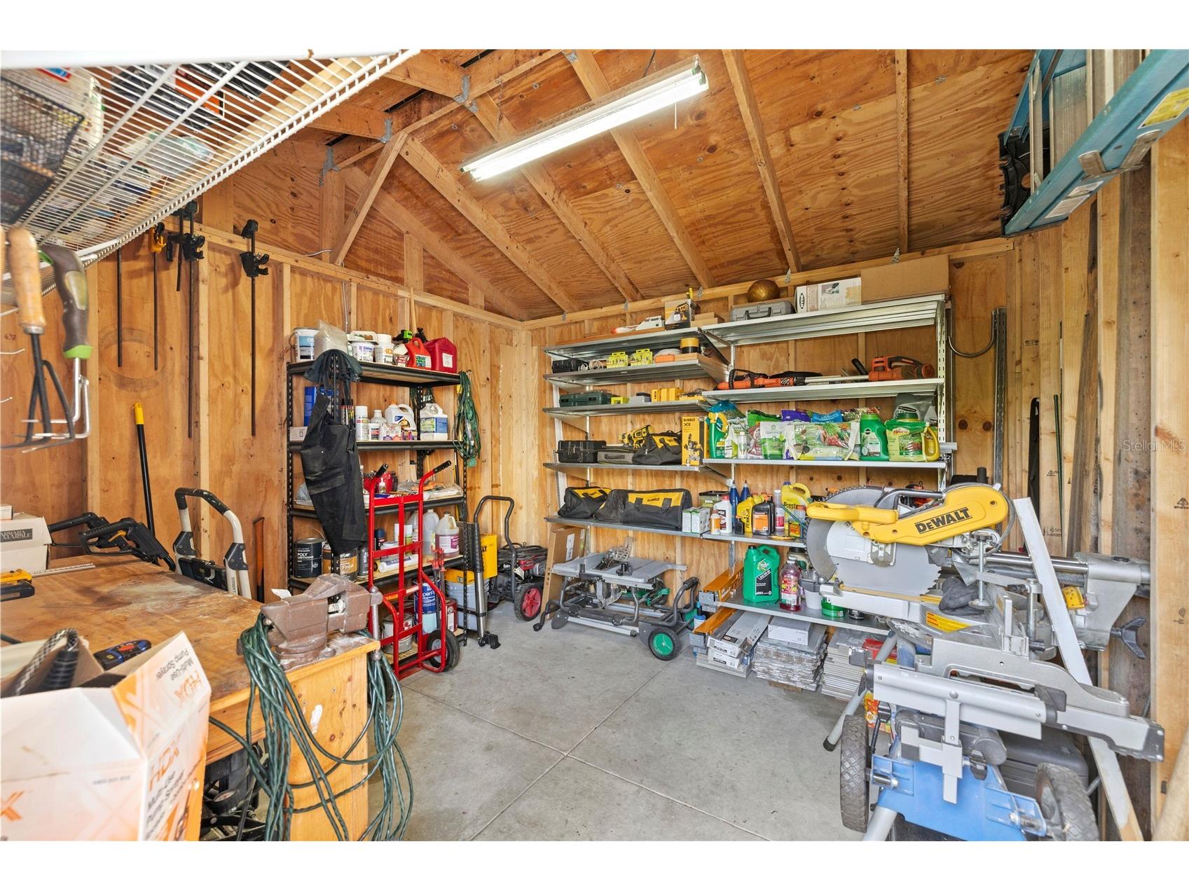3704 W Platt Street Tampa FL 33609 TB8475975 image29