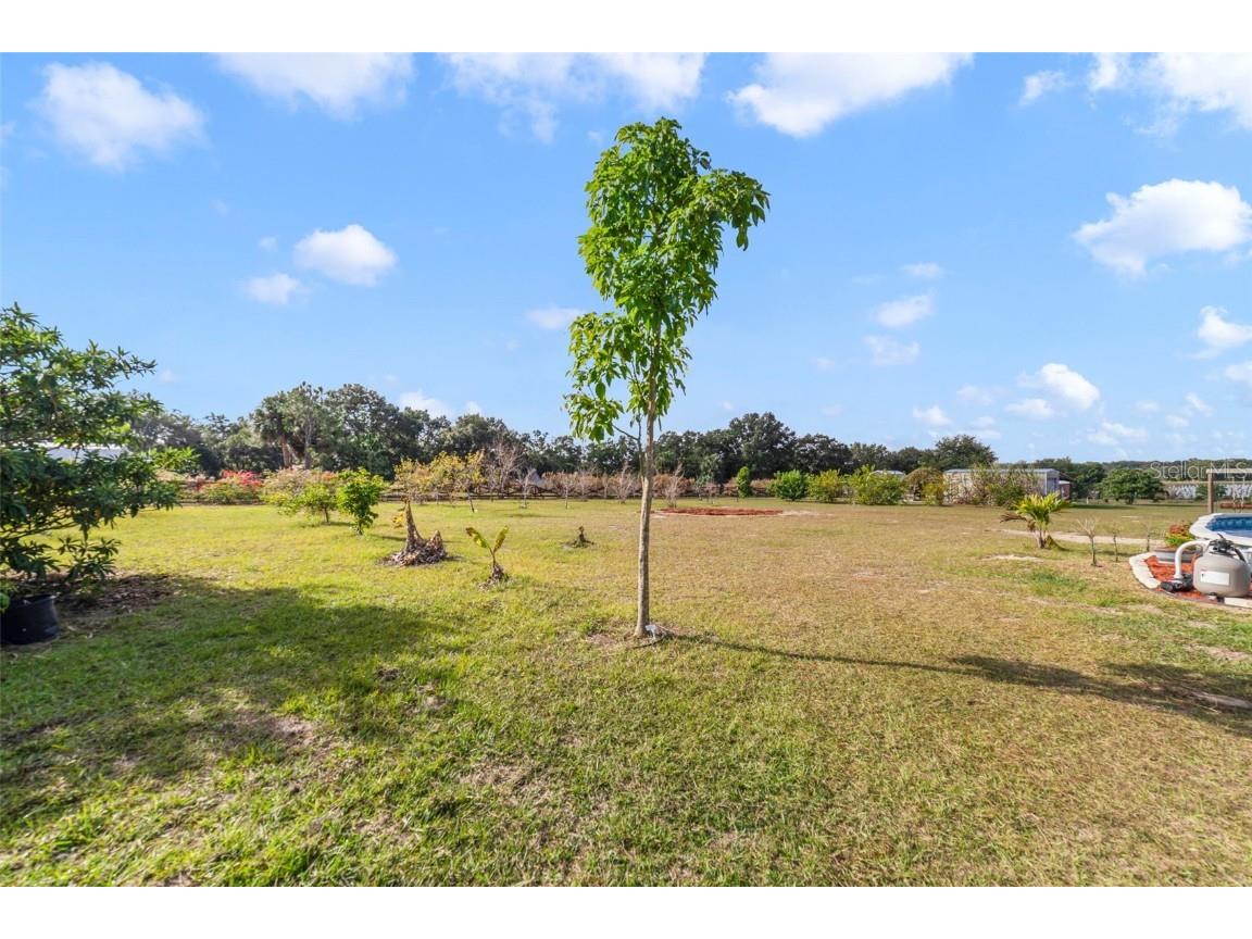 37041 N Thrill Hill Road Eustis FL 32736 O6365927 image4